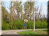 DSCN9834.JPG