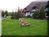 DSCN9868.JPG