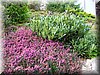 DSCN9879.JPG