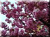 DSCN9884.JPG