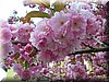 DSCN9885.JPG