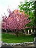 DSCN9890.jpg