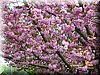 DSCN9891.JPG