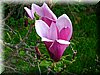DSCN9892.JPG