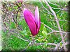 DSCN9893.JPG