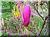DSCN9895.JPG