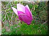 DSCN9896.JPG