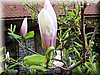 DSCN9897.JPG