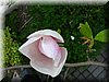 DSCN9899.JPG
