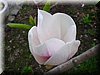 DSCN9900.JPG