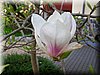 DSCN9901.JPG