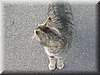 DSCN9917.JPG
