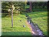 DSCN9920.JPG