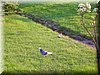 DSCN9921.JPG