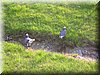 DSCN9927.JPG