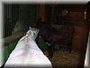 DSCN9930.JPG
