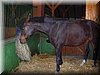 DSCN9931.JPG