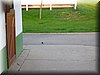 DSCN9934.JPG