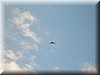DSCN9936.JPG