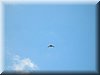 DSCN9937.JPG