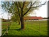 DSCN9939.JPG