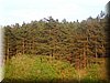DSCN9943.JPG