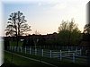 DSCN9950.JPG