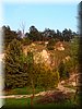 DSCN9953.jpg