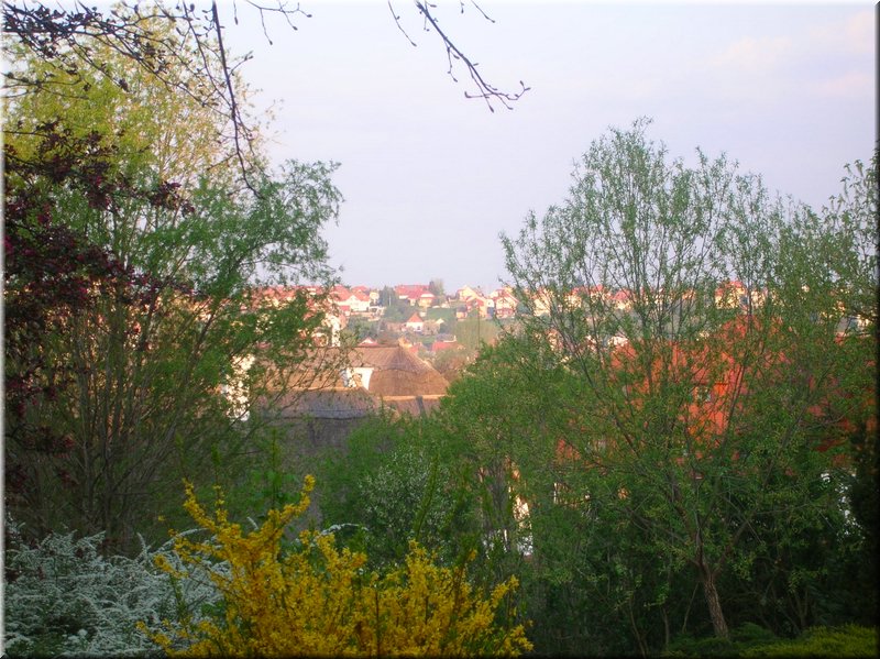 DSCN9966.JPG