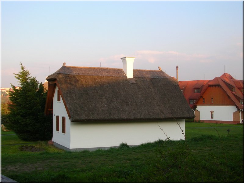 DSCN9969.JPG