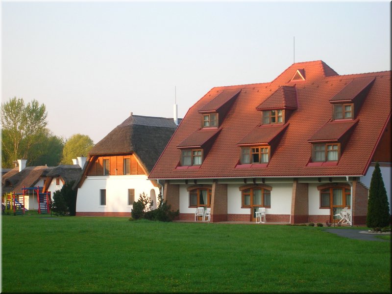 DSCN9974.JPG