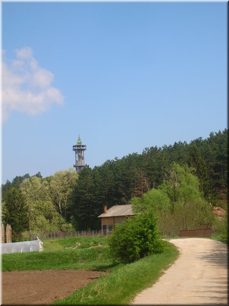 DSCN9975.JPG