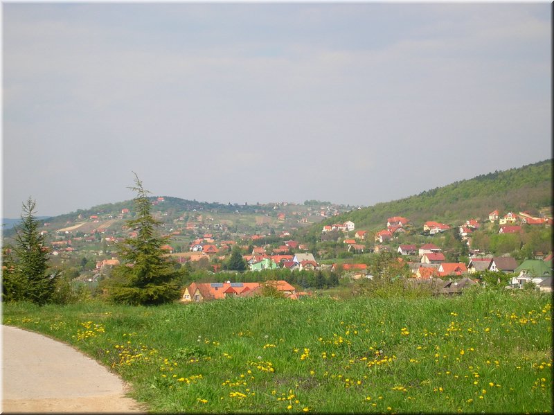 DSCN9977.JPG