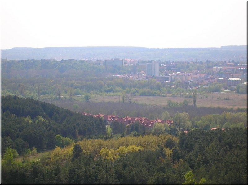 DSCN9984.JPG