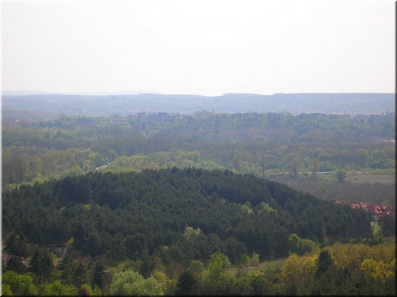 E-DSCN0001.JPG