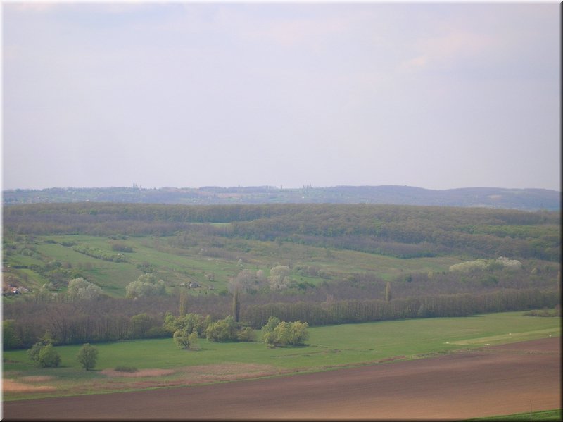 E-DSCN0009.JPG