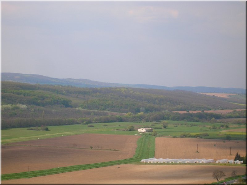 E-DSCN0010.JPG