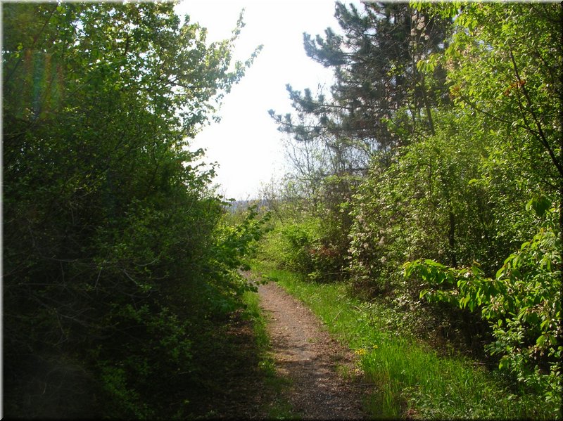 E-DSCN0034.JPG