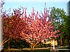 DSCN9963.JPG