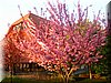 DSCN9964.JPG