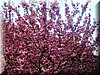 DSCN9965.JPG