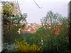DSCN9966.JPG