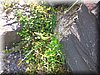 DSCN9979.JPG