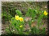 E-DSCN0018.JPG