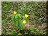E-DSCN0020.JPG