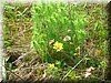 E-DSCN0023.JPG