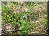 E-DSCN0024.JPG