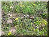 E-DSCN0028.JPG