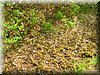 E-DSCN0035.JPG