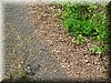 E-DSCN0036.JPG